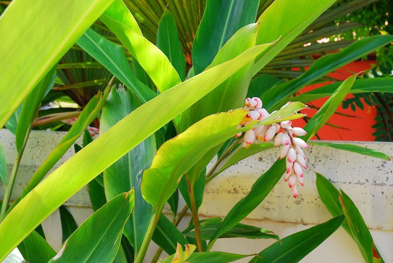 Villa House Sea View Private Garden, 5 People, Optical Fiber Puerto de la Madera Exterior foto